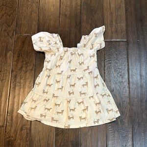 Rylee + Crew Cheetah Dress